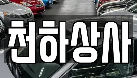경상북도 경산시 진량읍 중고차 전문 천하상사