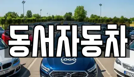 경상북도 경주시 감포읍 단기렌트카,중고차매입,중고차매매,중고차,렌트카,장기렌트카