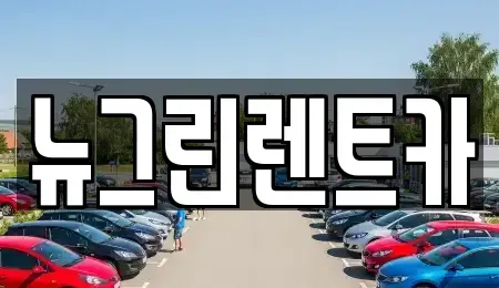 경상북도 구미시 사곡동 렌트카 전문 뉴그린렌트카