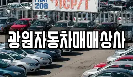 경상북도 구미시 오태동 중고차매매 전문 광원자동차매매상사