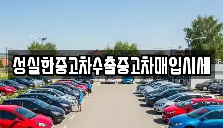 경상북도 김천시 성내동 중고차매입 전문 성실한중고차수출중고차매입시세