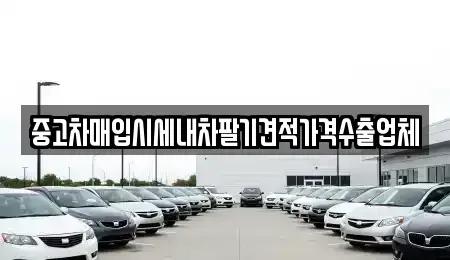 경상북도 안동시 광석동 중고차매입 전문 중고차매입시세내차팔기견적가격수출업체