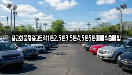 경상북도 안동시 광석동 중고차매입 전문 중고화물차중고트럭1톤2.5톤3.5톤4.5톤5톤매매수출매입