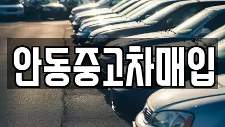 경상북도 안동시 목성동 중고차 전문 안동중고차매입
