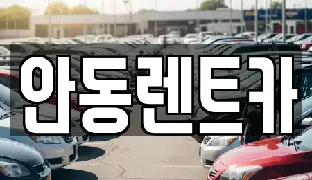경상북도 안동시 옥야동 렌트카 전문 안동렌트카