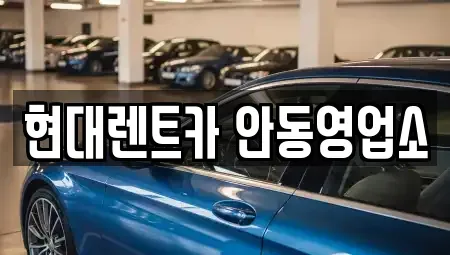 경상북도 안동시 옥야동 렌트카 전문 현대렌트카 안동영업소