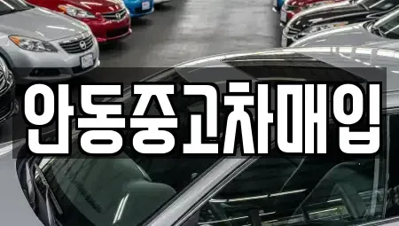경상북도 안동시 옥야동 중고차매매,단기렌트카,중고차매입,장기렌트카,중고차,렌트카