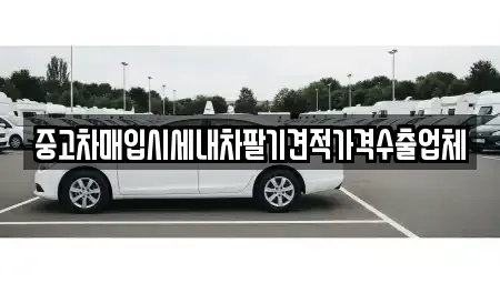 경상북도 안동시 옥야동 중고차매매 전문 중고차매입시세내차팔기견적가격수출업체