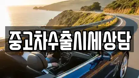 경상북도 안동시 옥야동 중고차매매 전문 중고차수출시세상담