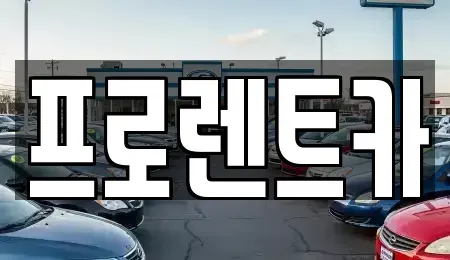 경상북도 안동시 와룡면 렌트카 전문 프로렌트카
