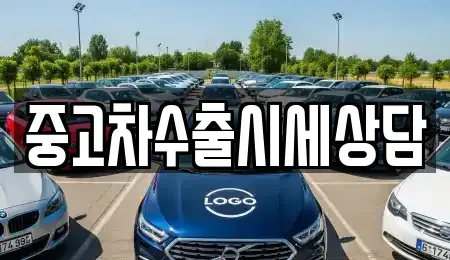 경상북도 안동시 와룡면 중고차매매 전문 중고차수출시세상담