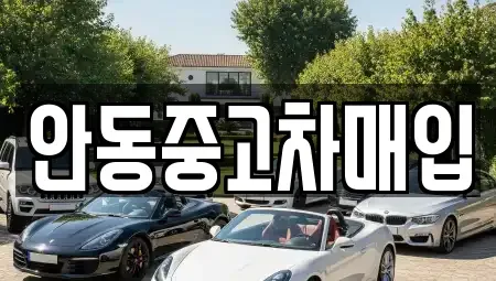 경상북도 안동시 와룡면 단기렌트카,중고차매입,중고차매매,중고차,렌트카,장기렌트카