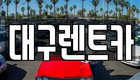 경상북도 안동시 이천동 렌트카 전문 대구렌트카