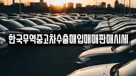 경상북도 안동시 이천동 중고차매매 전문 한국무역중고차수출매입매매판매시세