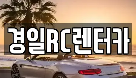 경상북도 영천시 금노동 렌트카 전문 경일RC렌터카
