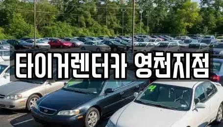 경상북도 영천시 금노동 렌트카 전문 타이거렌터카 영천지점