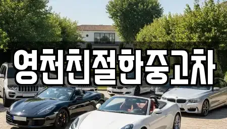 경상북도 영천시 금노동 중고차 전문 영천친절한중고차
