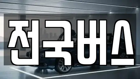 경상북도 영천시 금노동 중고차 전문 전국버스