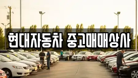 경상북도 영천시 금노동 중고차 전문 현대자동차 중고매매상사