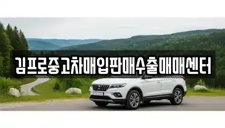 경상북도 영천시 금노동 중고차매입 전문 김프로중고차매입판매수출매매센터