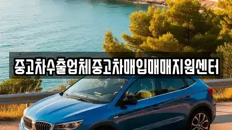 경상북도 영천시 금노동 중고차매입 전문 중고차수출업체중고차매입매매지원센터