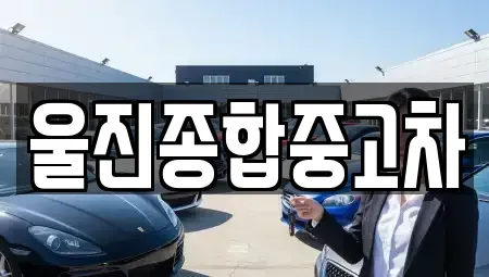 경상북도 울진군 매화면 렌트카,단기렌트카,장기렌트카,중고차,중고차매매,중고차매입