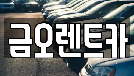 경상북도 칠곡군 단기렌트카 전문 금오렌트카