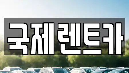 경상북도 칠곡군 렌트카 전문 국제렌트카