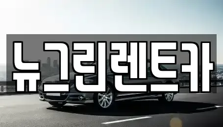 경상북도 칠곡군 렌트카 전문 뉴그린렌트카