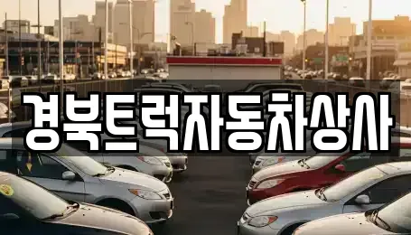 경상북도 칠곡군 중고차매매,단기렌트카,중고차매입,장기렌트카,중고차,렌트카