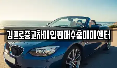 경상북도 칠곡군 중고차매입 전문 김프로중고차매입판매수출매매센터