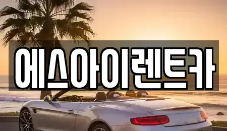 경상북도 포항시 남구 송도동 렌트카 전문 에스아이렌트카