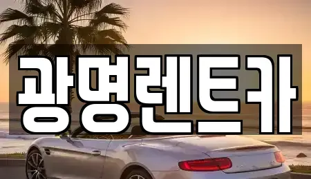 경상북도 포항시 북구 대신동 렌트카 전문 광명렌트카