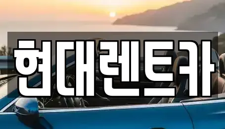 경상북도 포항시 북구 대신동 렌트카 전문 현대렌트카