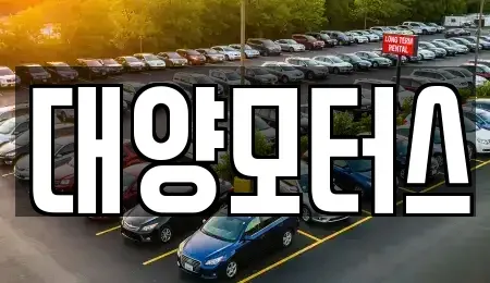 광주 광산구 복룡동 중고차 전문 대양모터스