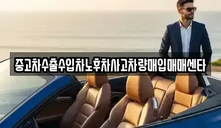광주 광산구 복룡동 중고차매입 전문 중고차수출수입차노후차사고차량매입매매센타