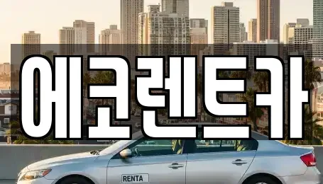 광주 광산구 산월동 렌트카 전문 에코렌트카