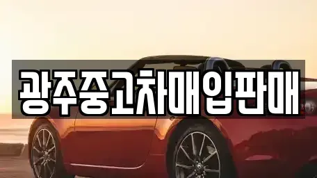 광주 남구 화장동 중고차매매 전문 광주중고차매입판매