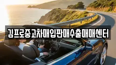광주 동구 불로동 중고차매매 전문 김프로중고차매입판매수출매매센터