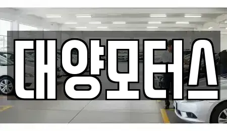 광주 동구 불로동 중고차매매 전문 대양모터스