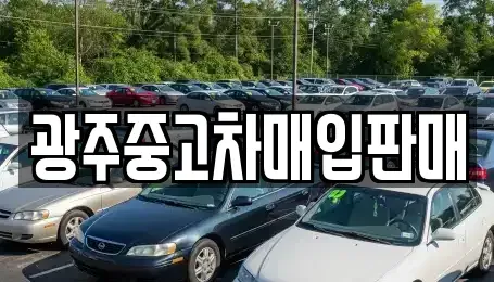 광주 동구 불로동 중고차매입 전문 광주중고차매입판매