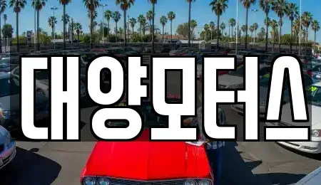 광주 북구 삼각동 중고차매매 전문 대양모터스