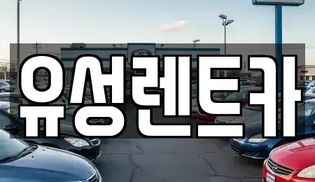 광주 서구 화정동 렌트카 전문 유성렌트카