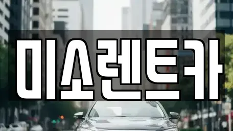 광주광역시 광산구 복룡동 렌트카 전문 미소렌트카