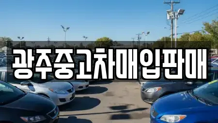 광주광역시 광산구 복룡동 중고차매입 전문 광주중고차매입판매