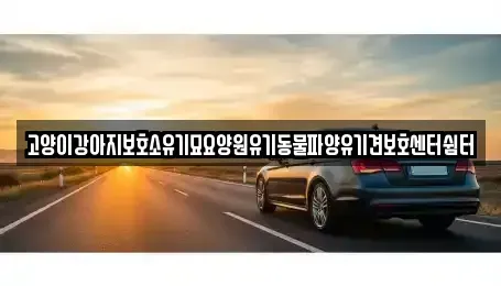 광주광역시 광산구 삼거동 중고차 전문 고양이강아지보호소유기묘요양원유기동물파양유기견보호센터쉼터