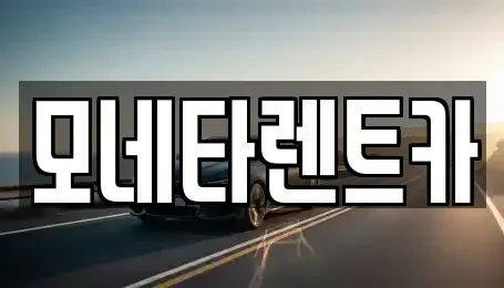 광주광역시 광산구 신촌동 렌트카 전문 모네타렌트카