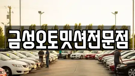 광주광역시 광산구 신촌동 중고차 전문 금성오토밋션전문점