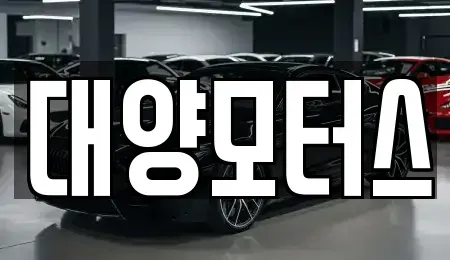 광주광역시 광산구 신촌동 중고차매매 전문 대양모터스