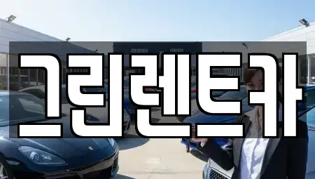 광주광역시 남구 봉선동 장기렌트카 전문 그린렌트카